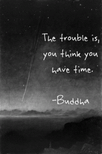 Buddha quote