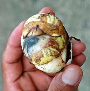 Balut - Hard Boiled Duck/Chicken Embryos