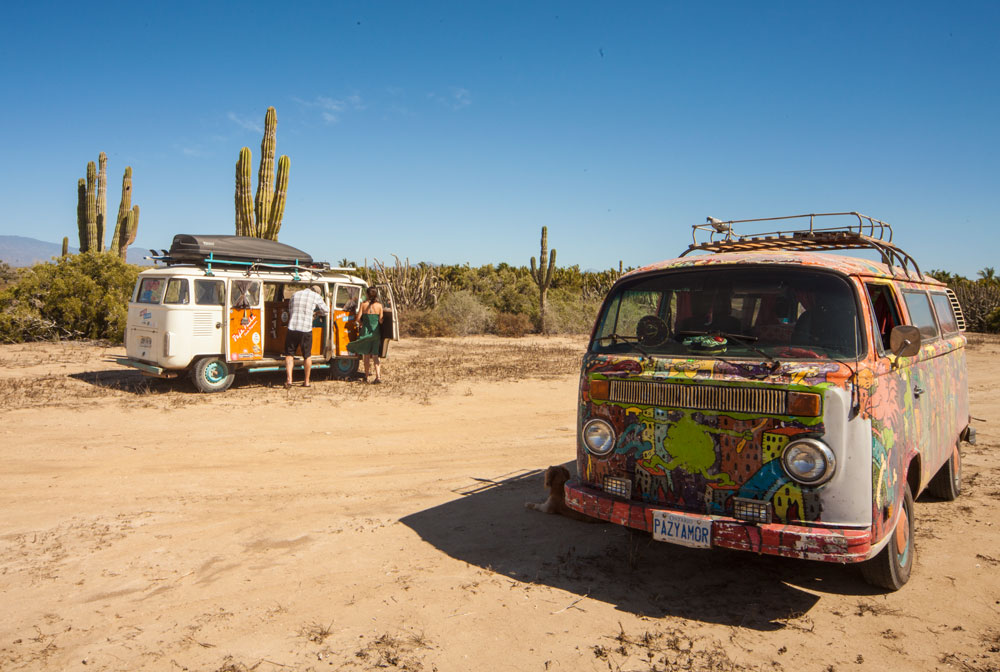 vanlife: The magic recipe that caused hippies to fall in love with the  incredible, enduring Volkswagen van