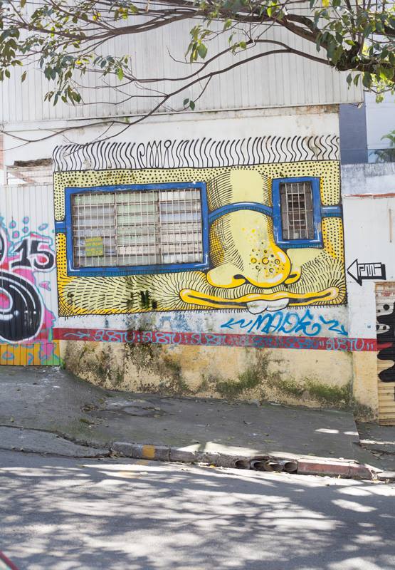 Where to Find the Coolest Street Art in São Paulo